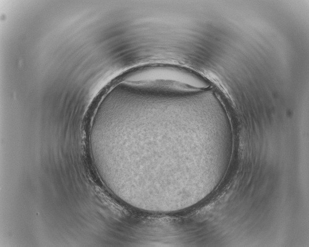 X0000088830926200706281752