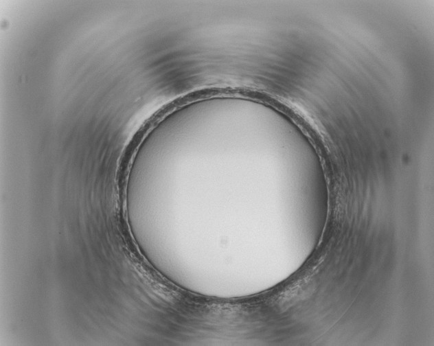 X0000088830927200706281752