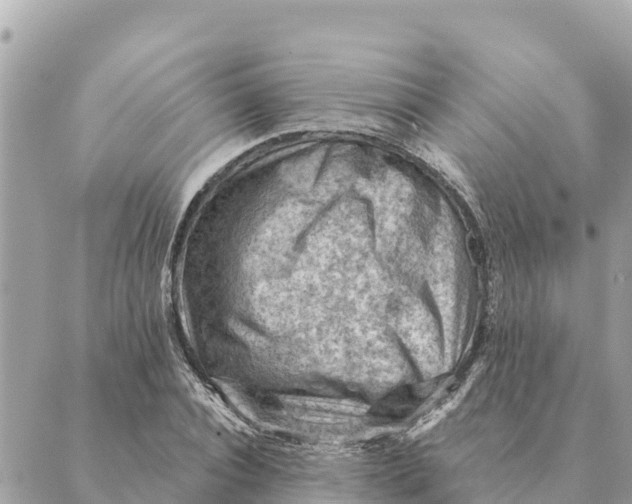 X0000088830928200706281752