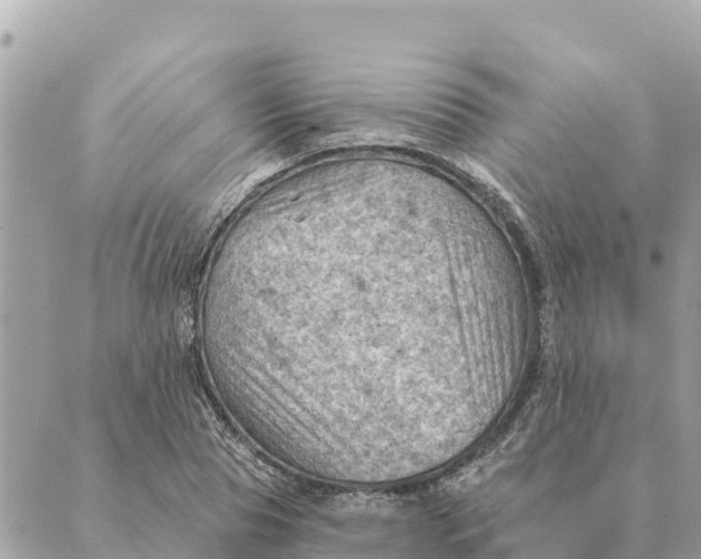 X0000088830929200706281752