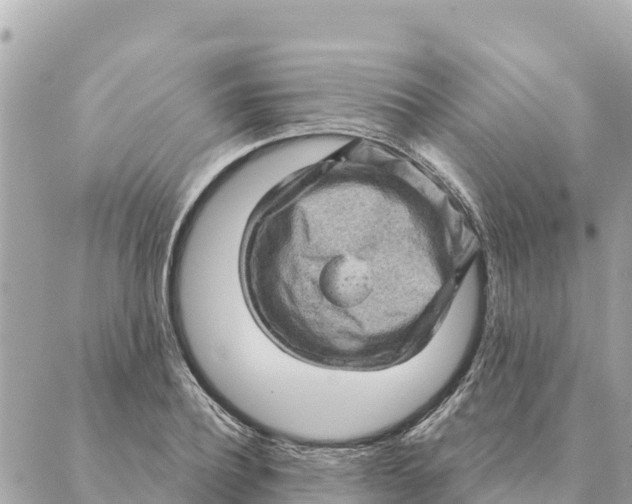 X0000088830932200706281752