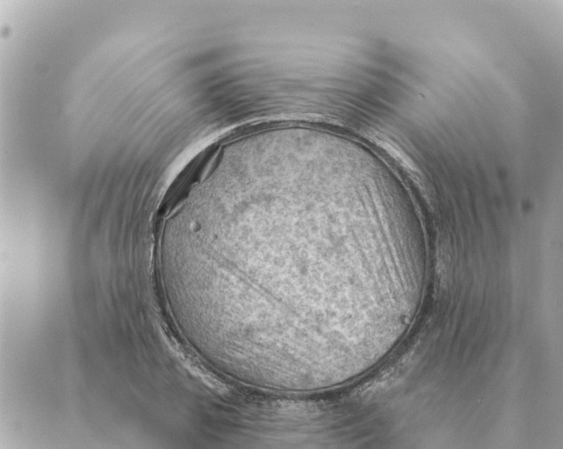 X0000088830933200706281752