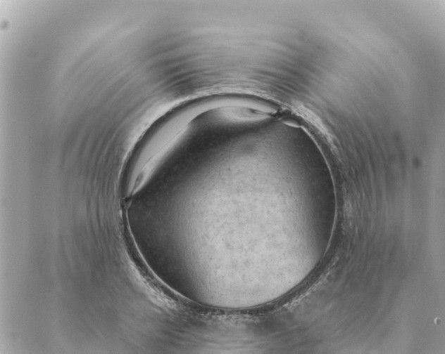 X0000088830934200706281752