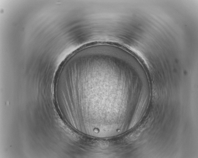 X0000088830935200706281752