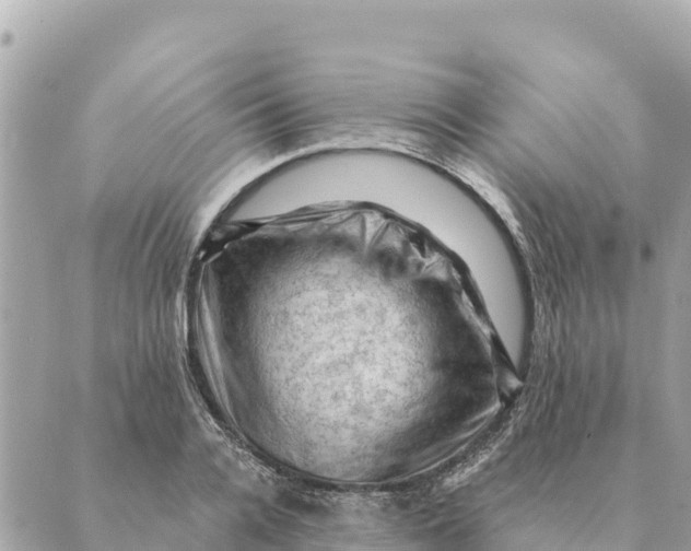 X0000088830936200706281752