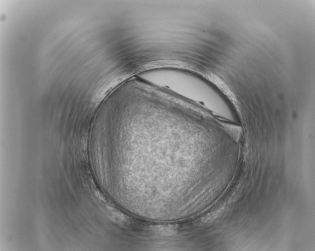 X0000088830937200706281752