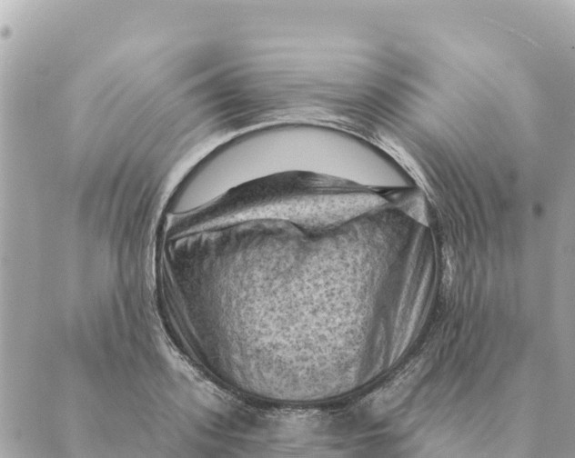 X0000088830939200706281752