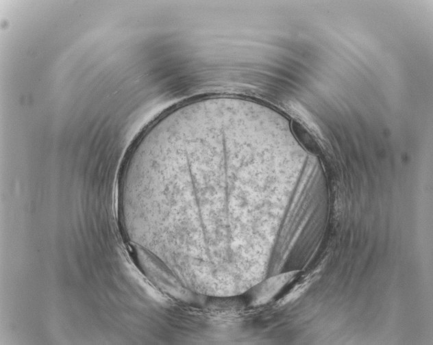 X0000088830940200706281752