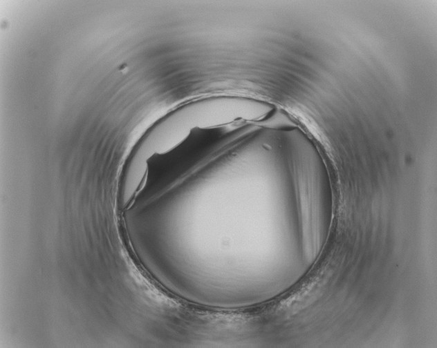 X0000088830941200706281752