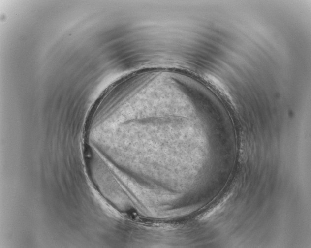 X0000088830942200706281752