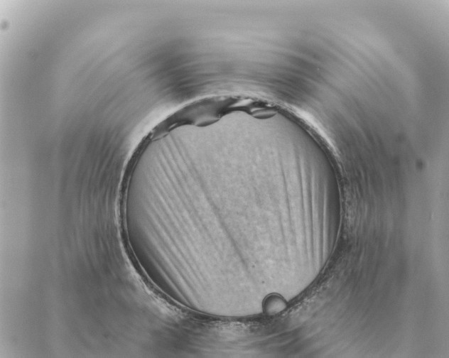 X0000088830943200706281752