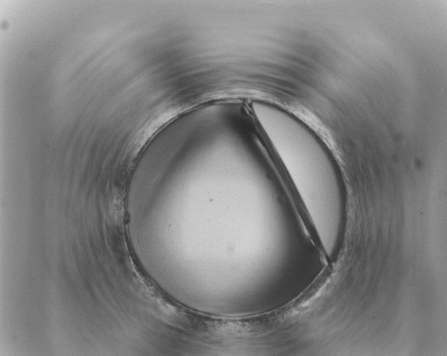 X0000088830945200706281752