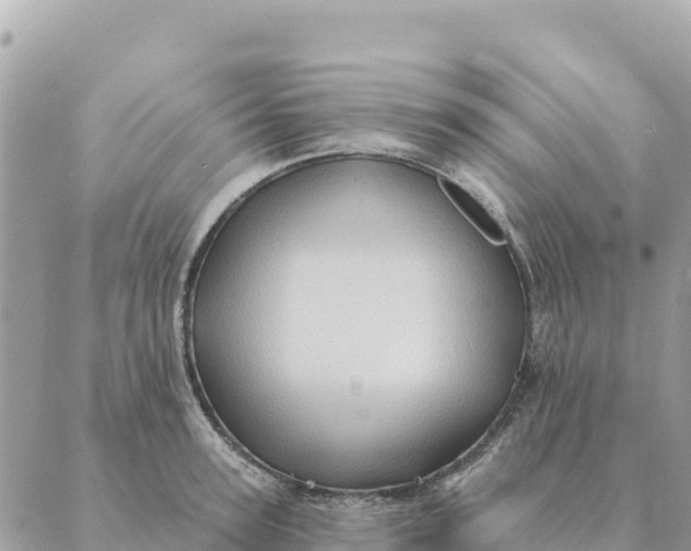 X0000088830947200706281752