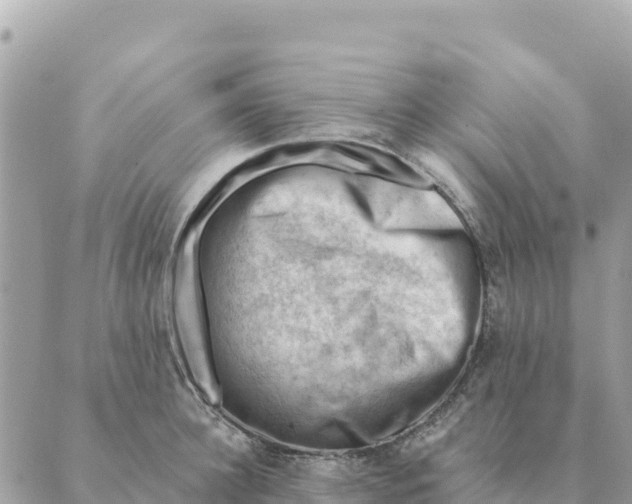 X0000088830948200706281752