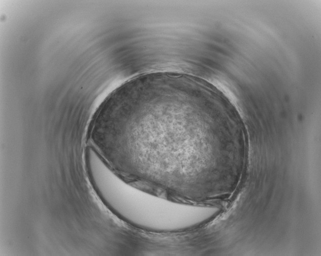 X0000088830949200706281752