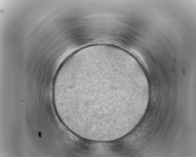 X0000088830950200706281752