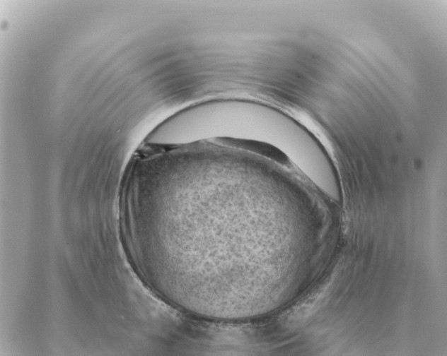 X0000088830951200706281752