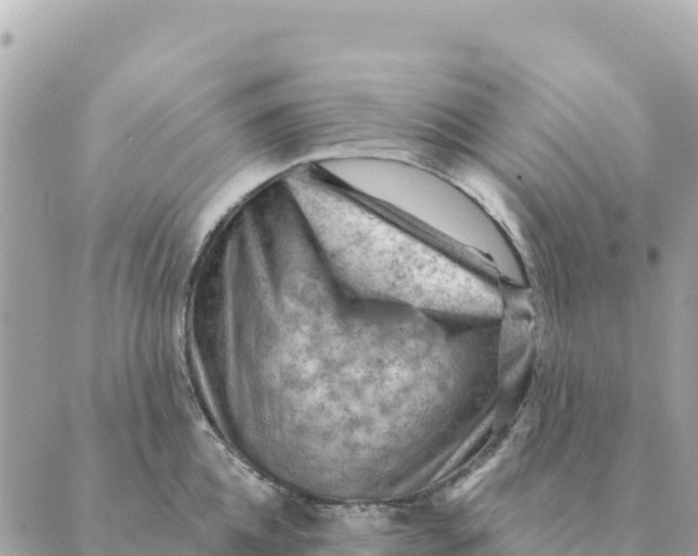 X0000088830952200706281752