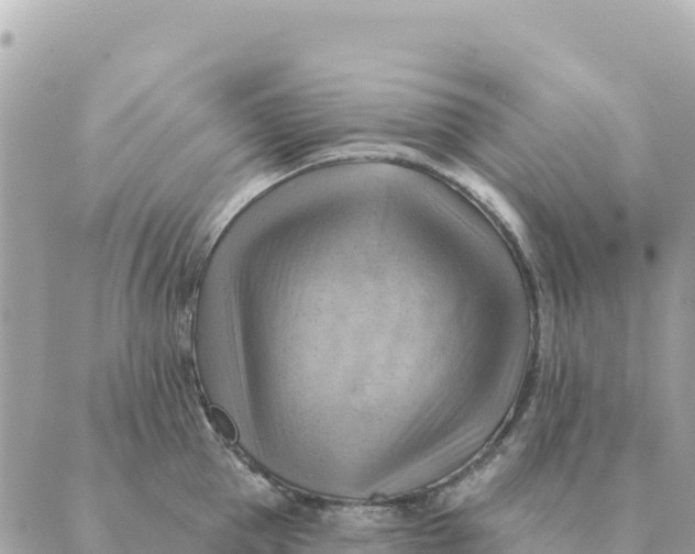 X0000088830953200706281752