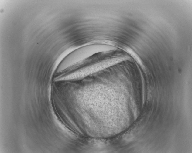 X0000088830955200706281752