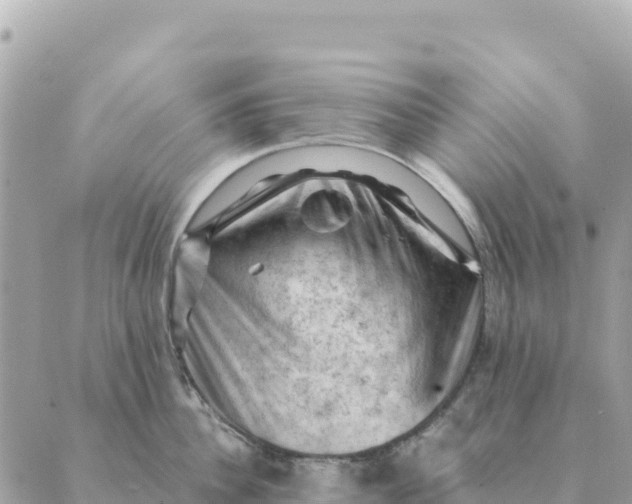 X0000088830956200706281752