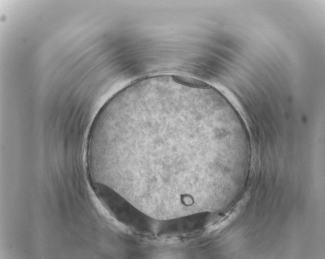 X0000088830957200706281752