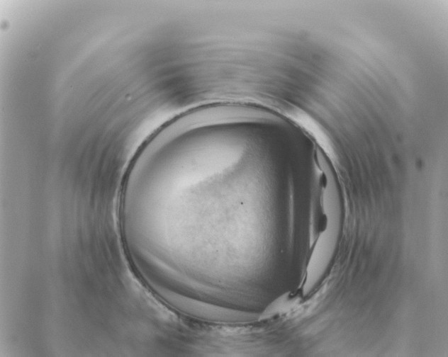 X0000088830958200706281753