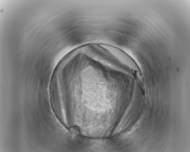 X0000088830959200706281753