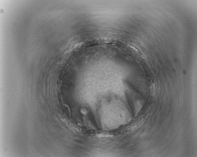 X0000088830961200706281752