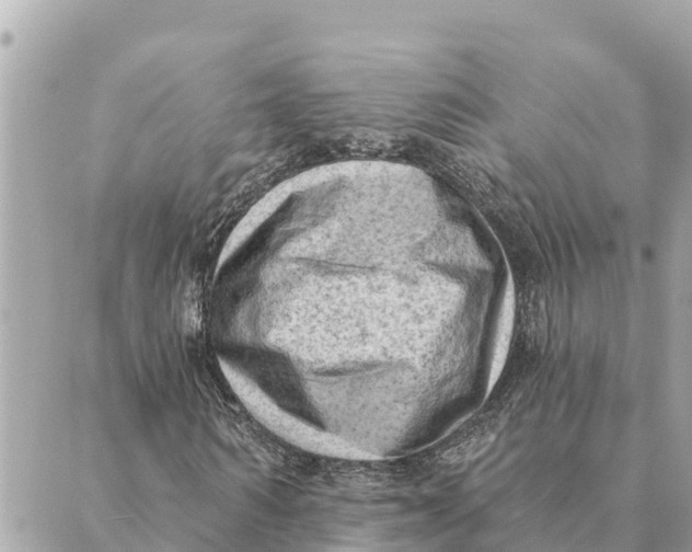 X0000088830962200706281752