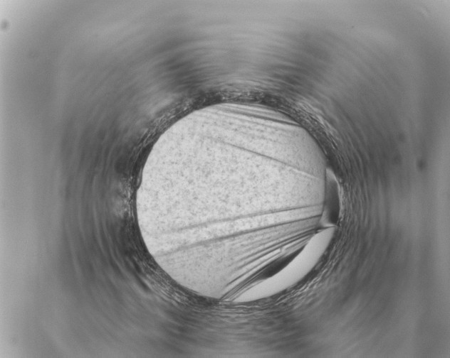 X0000088830964200706281752