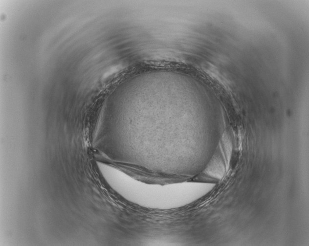 X0000088830965200706281752