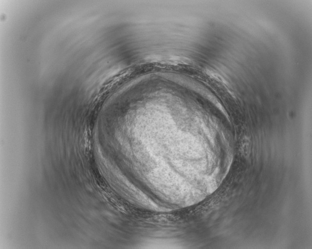 X0000088830966200706281752