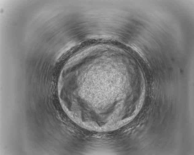 X0000088830967200706281752