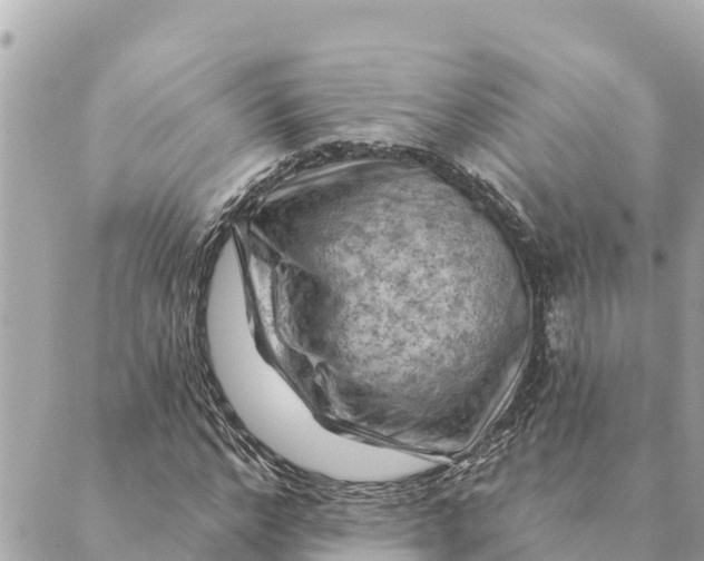 X0000088830968200706281752