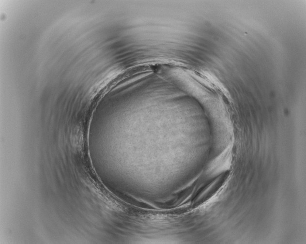 X0000088830969200706281752