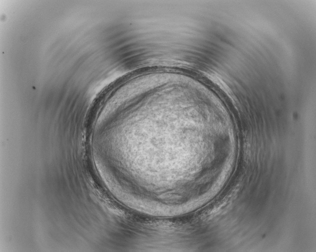 X0000088830971200706281752