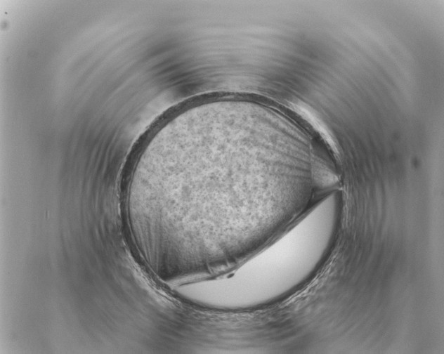 X0000088830972200706281752