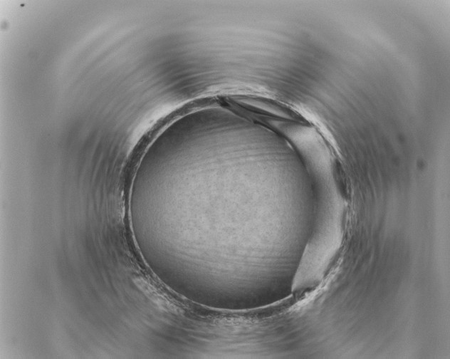 X0000088830973200706281752