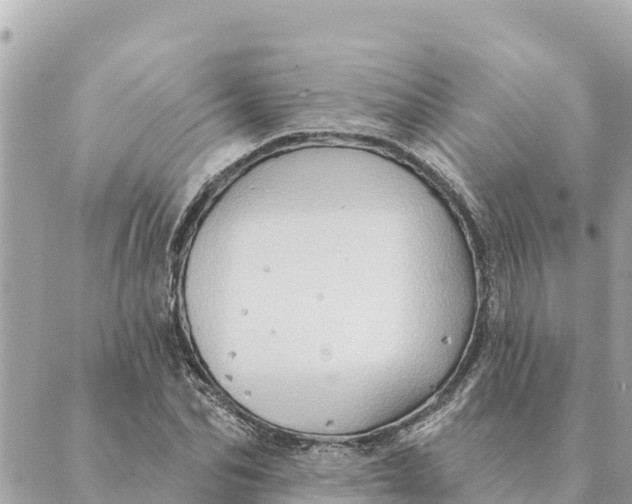 X0000088830974200706281752