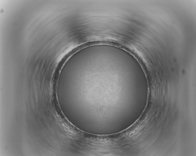 X0000088830975200706281752