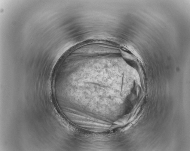 X0000088830976200706281752