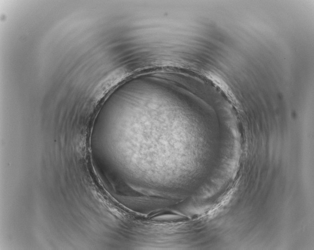 X0000088830977200706281752