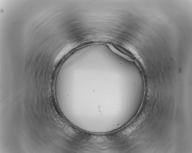 X0000088830978200706281751