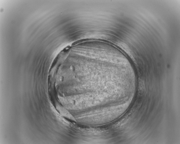 X0000088830980200706281751