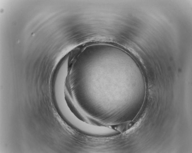 X0000088830981200706281751