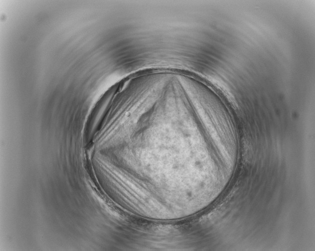 X0000088830982200706281751