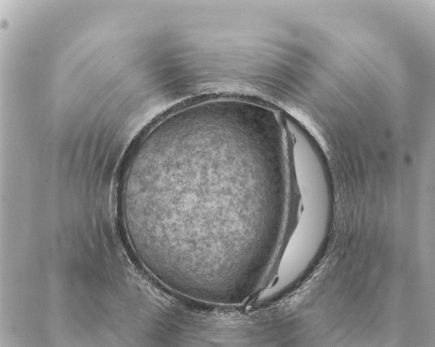 X0000088830983200706281751