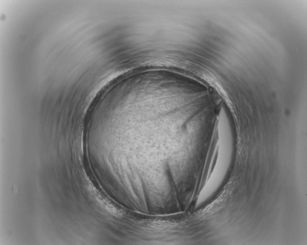 X0000088830984200706281751