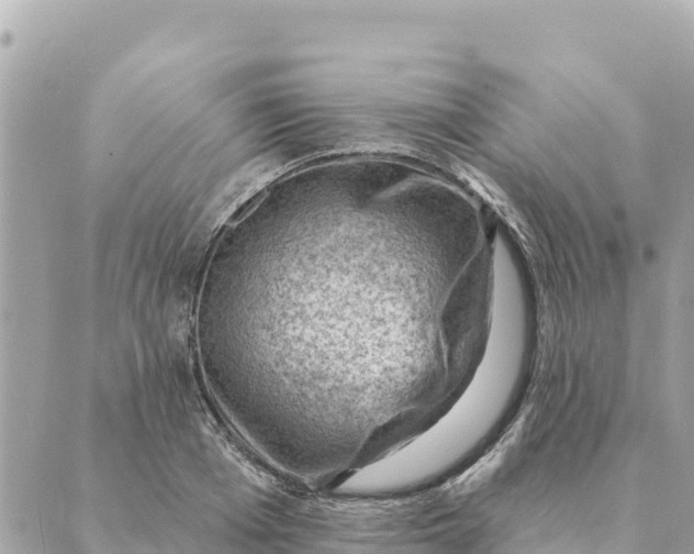 X0000088830985200706281751